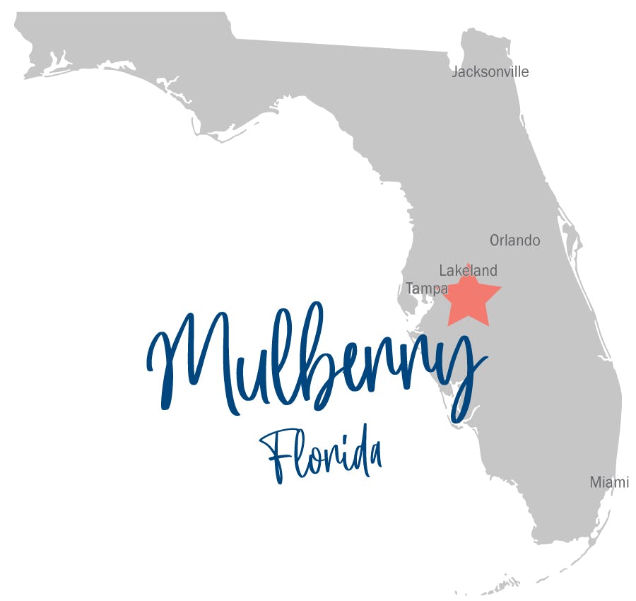 Where is Mulberry, Florida?