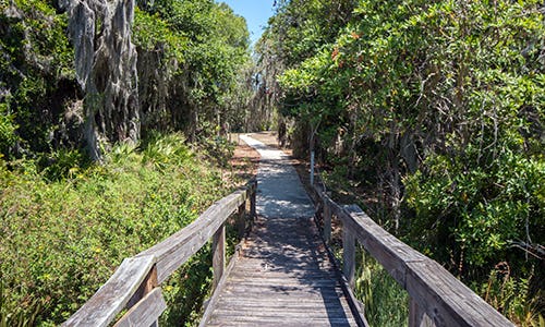 Trails at Mackay Gardens and Lakeside Preserve in Lake Alfred, Florida