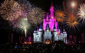 Fireworks at the Walt Disney World Resort