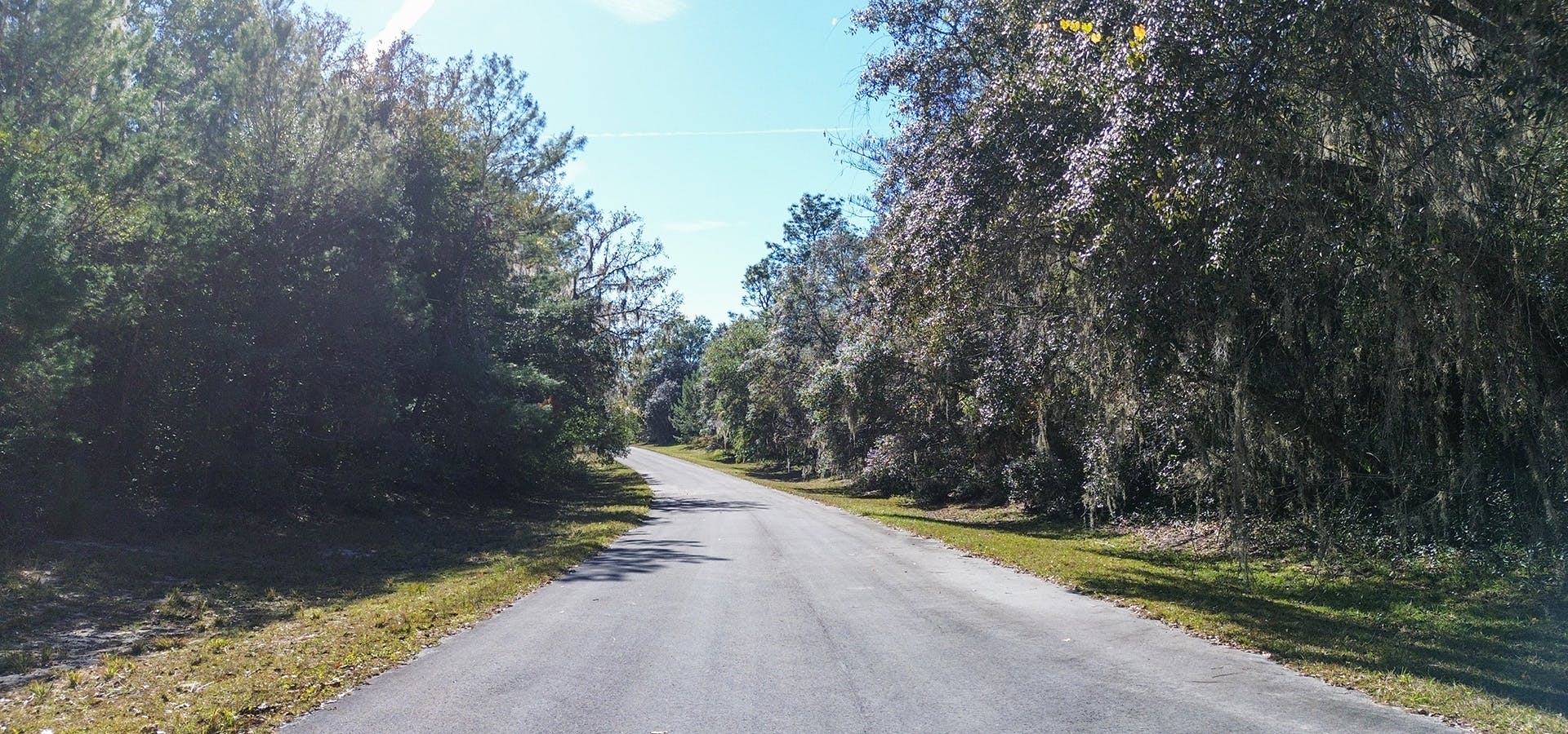 Highland Homes lots at Marion Oaks are large, wooded, and private