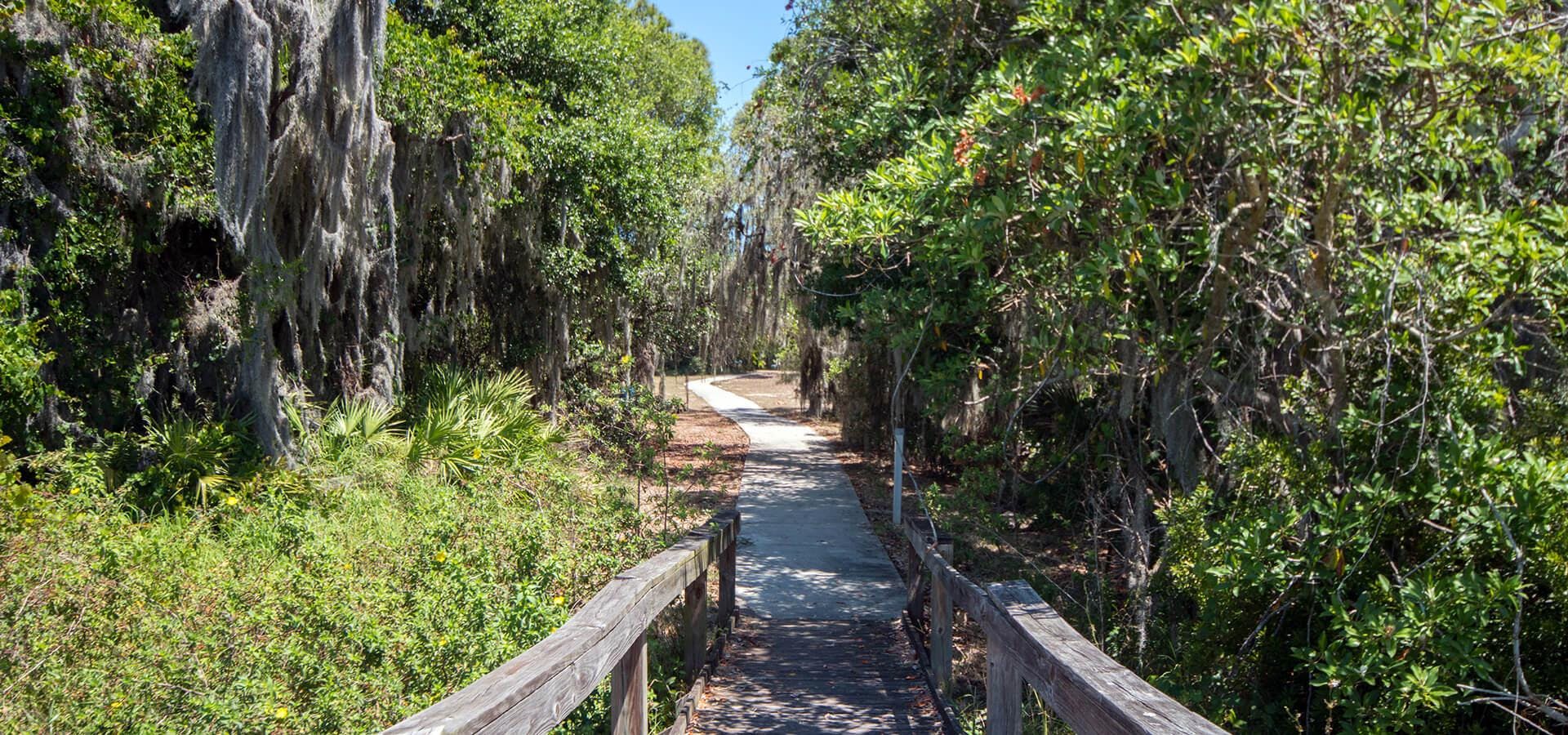 Hiking trails in Lake Alfred
