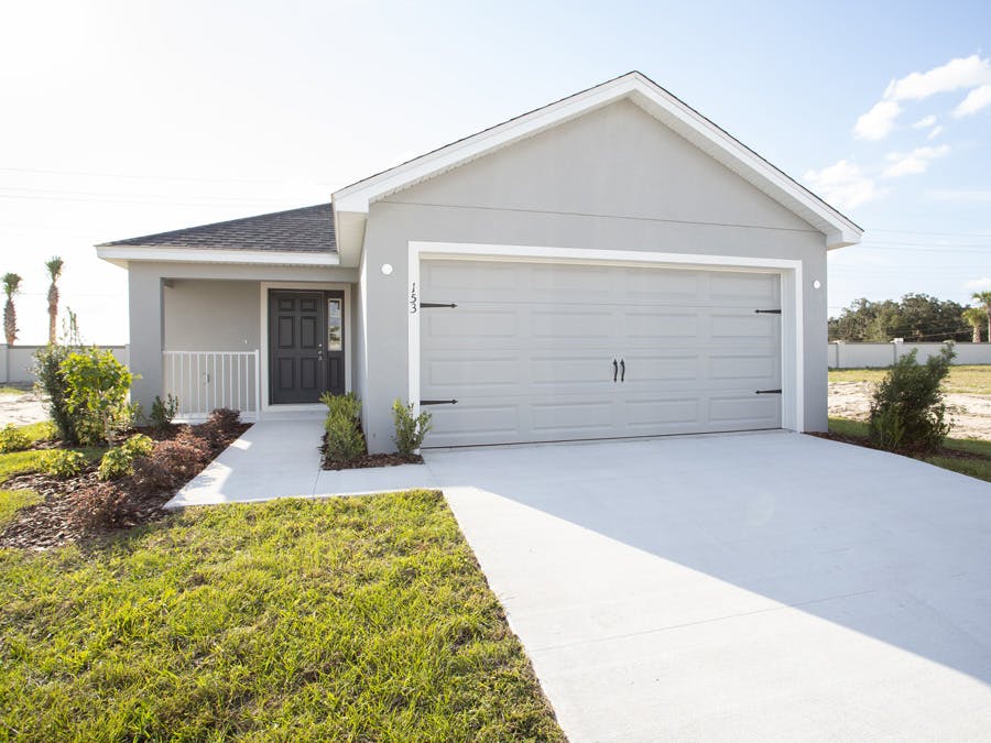 Amaryllis - Elevation B