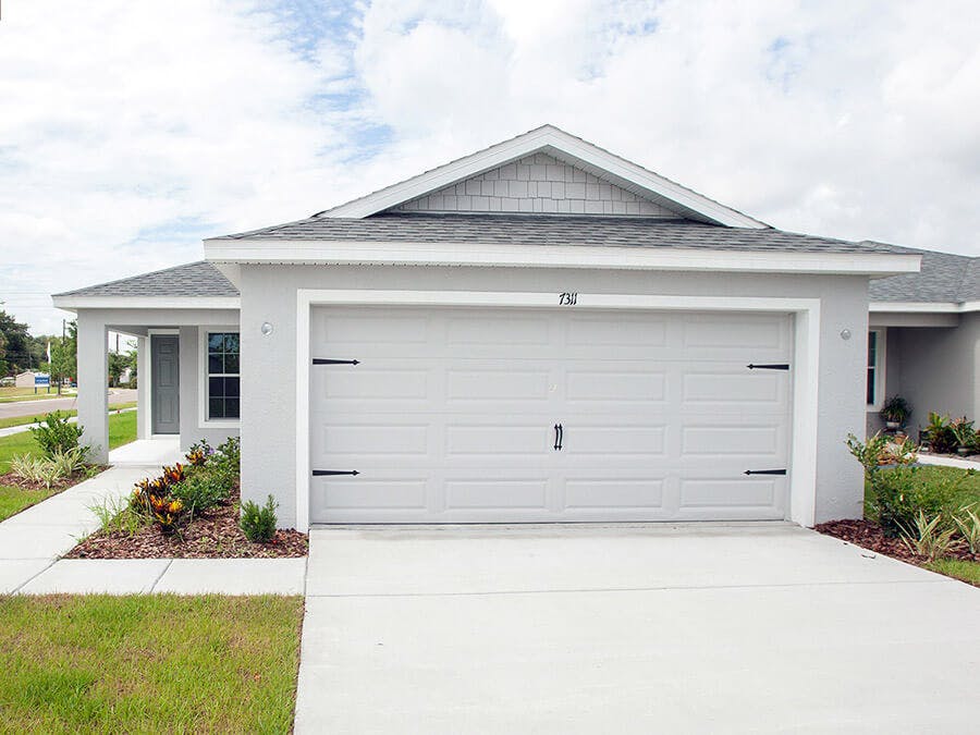 Begonia - Elevation B