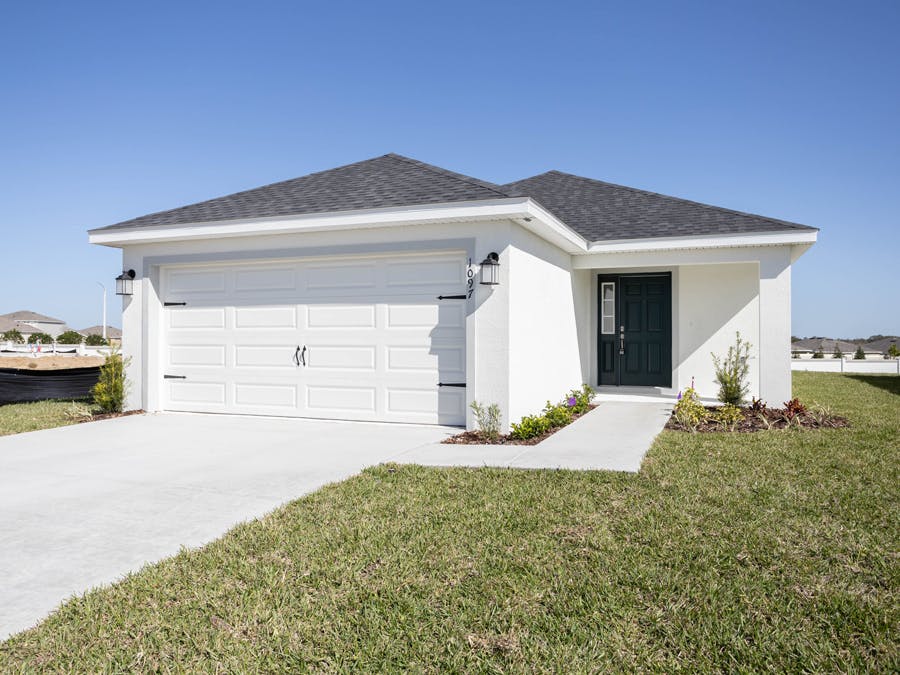 Amaryllis - Elevation A