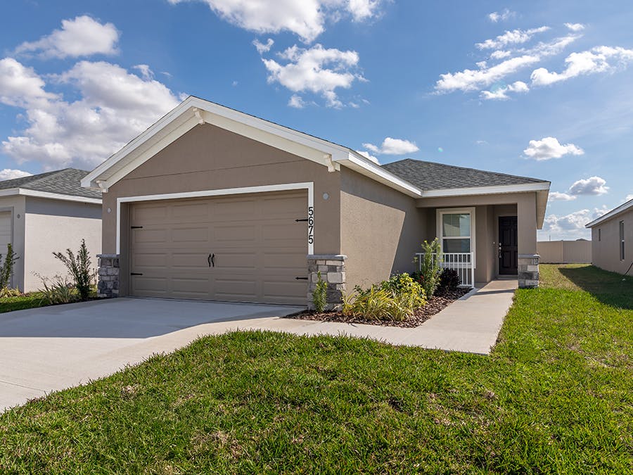 Begonia - Elevation C