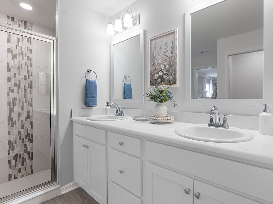 Room Raychel-Owner's Suite Bath Page