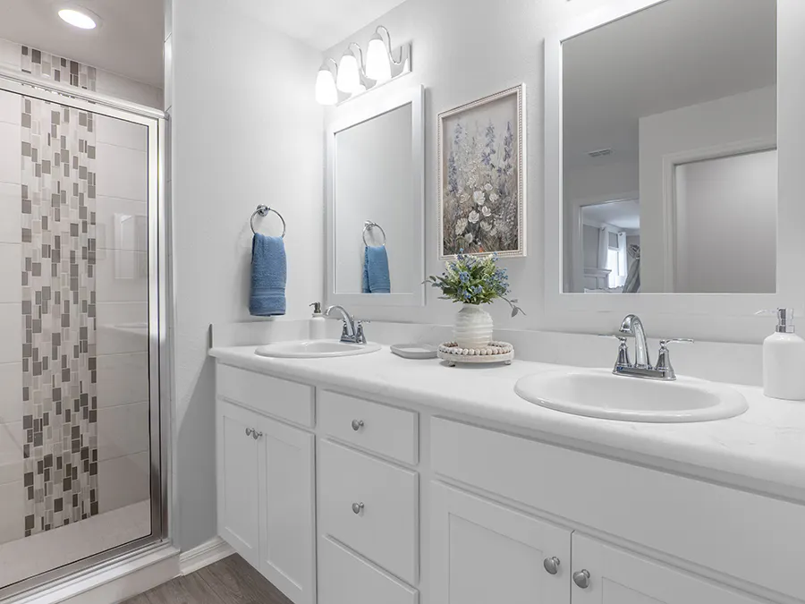Raychel - Owner's Bath