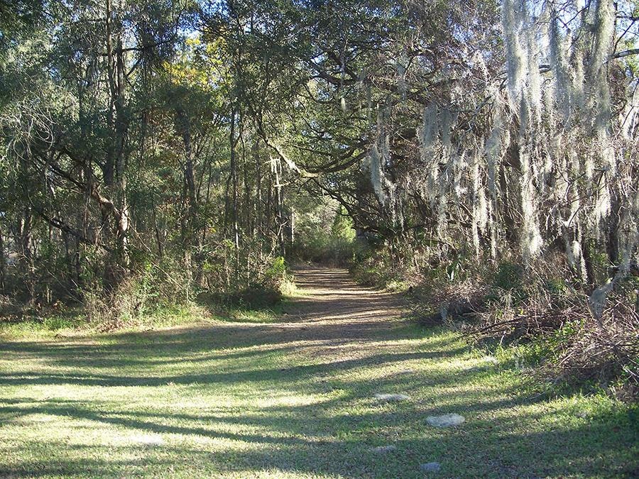 Cross Florida Greenway trails near Ocala new homes for sale