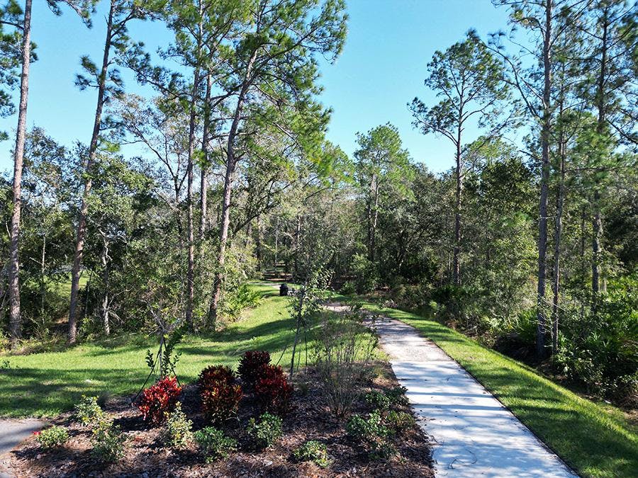Nature trails in a Zephyrhills neighborhood