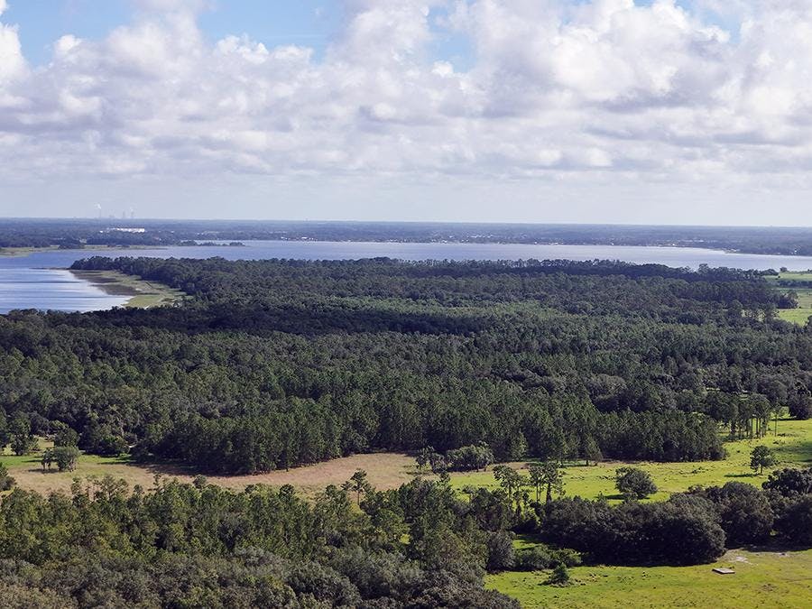Alligator Lake in St. Cloud