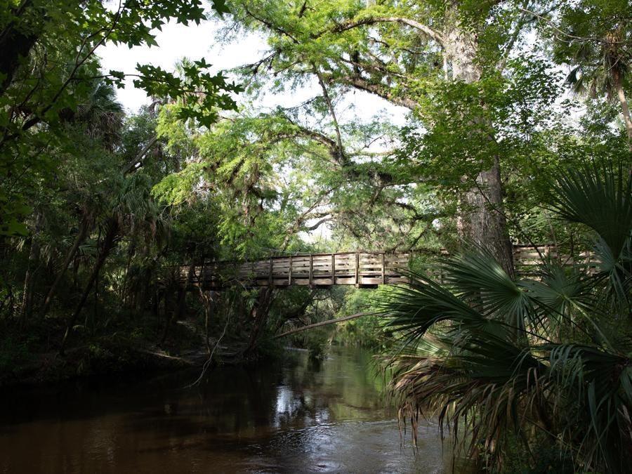 Hillsborough River State Park, near Plant City, Florida
