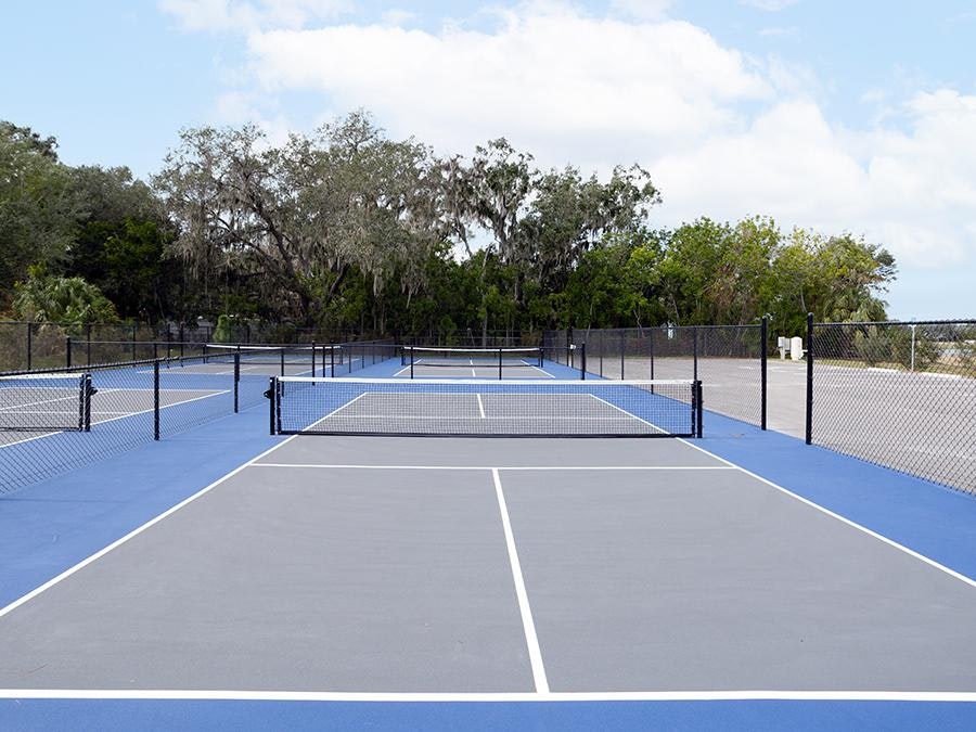 Pickleball courts and trees at Jackson Crossing in Palmetto